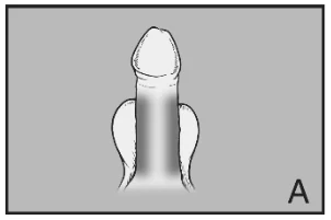 A close-up of a fork

Description automatically generated with medium confidence