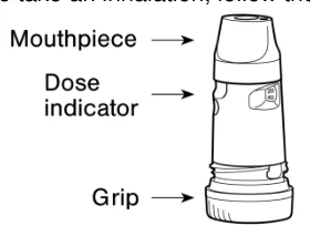 Pic-1-mouthpiece-dose-indicator-grip.png