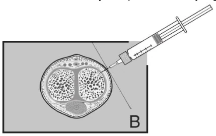 Diagram

Description automatically generated