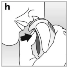 I:\ONGOING APPLICATIONS\AVAMYS 27.5MG  - EU PRODUCT\WORK BACKUP\IMAGES\image 8.PNG