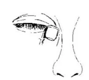 image 5.jpg