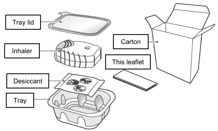A diagram of a leaflet container
Description automatically generated