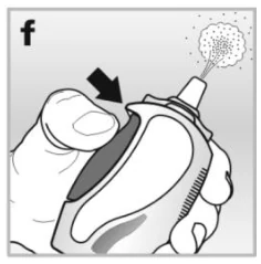 I:\ONGOING APPLICATIONS\AVAMYS 27.5MG  - EU PRODUCT\WORK BACKUP\IMAGES\image 6.PNG