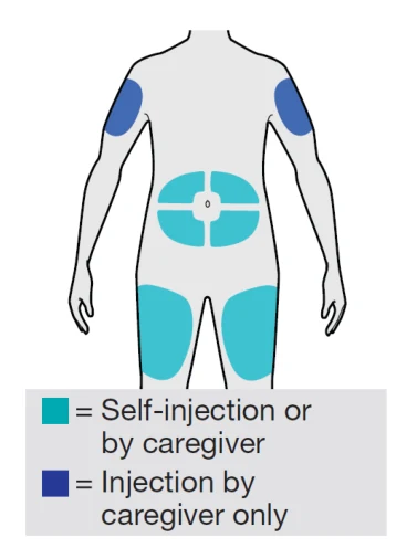 A person with blue circles on their body

AI-generated content may be incorrect. 