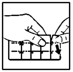 A hands holding a piece of paper

Description automatically generated 