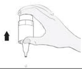 A drawing of a house

Description automatically generated with low confidence 